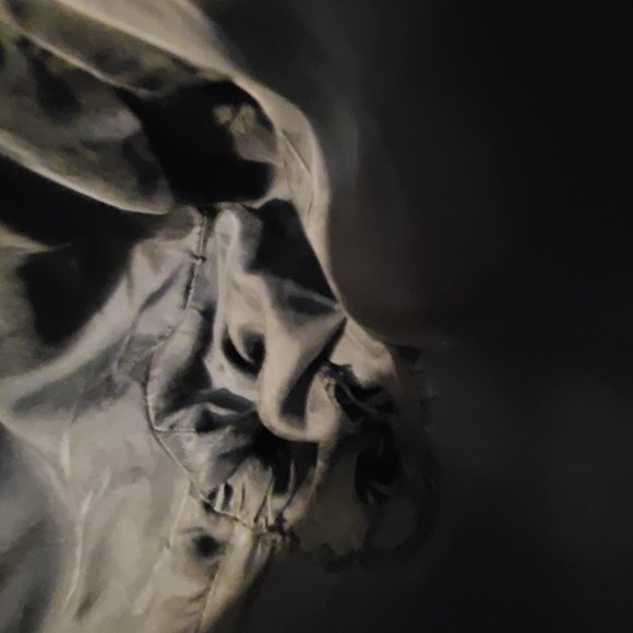 Babaton coat, wool & cashmere blend - Picture 5 of 5